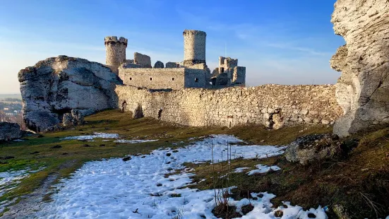 Ogrodzieniec Castle