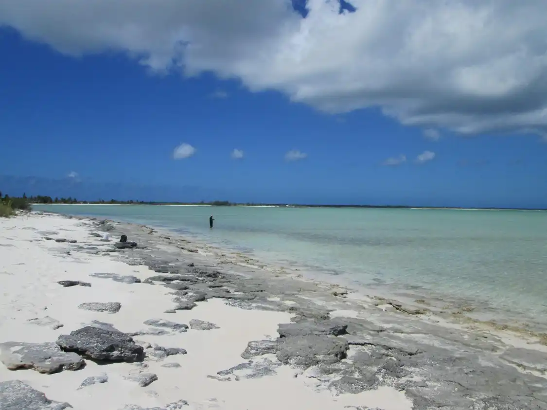 Hotels near Mayaguana
