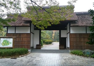 Okura Park