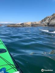 Sea Kayak Billdal