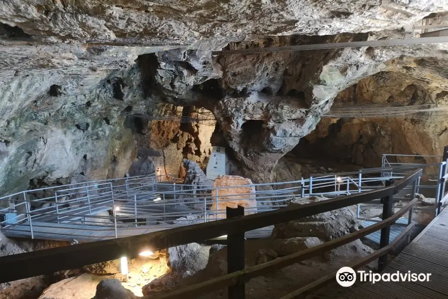 Caverna delle Arene Candide - Museo Archeologico del Finale