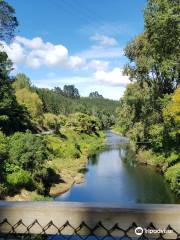 Hauraki Rail Trail