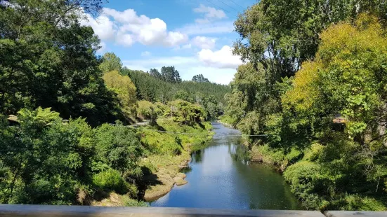 Hauraki Rail Trail