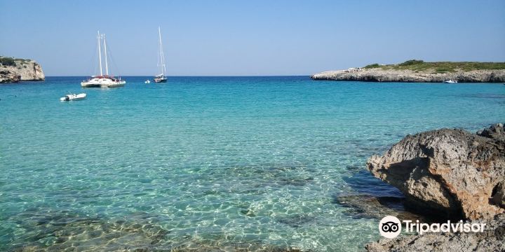 Cala Varques