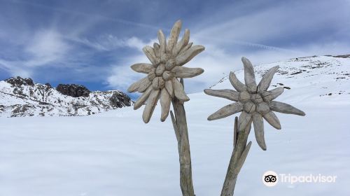 Nebelhorn