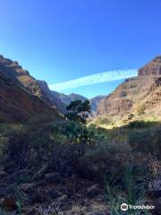 Barranco de Guayadeque