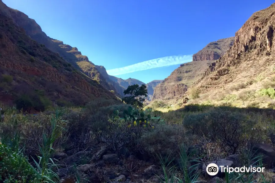 Barranco de Guayadeque