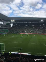 Geoffroy-Guichard Stadium