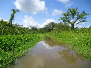 ロス・カティオス国立公園