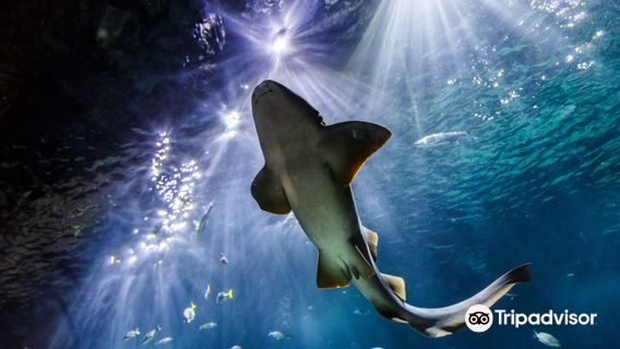 Acuario Michin Guadalajara