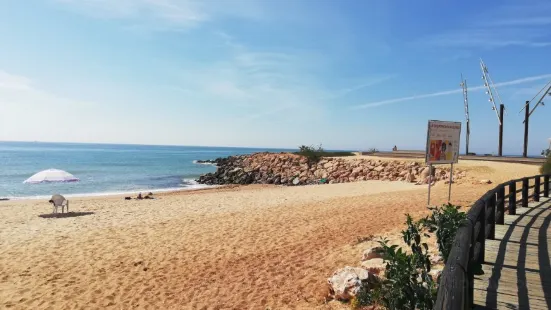 Praia do Forte Novo