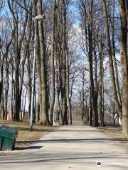 Old Jewish Cemetery