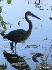 Hashawha Environmental Center & Bear Branch Nature Center