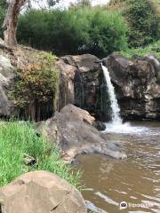 Narracan Falls