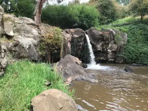 Narracan Falls