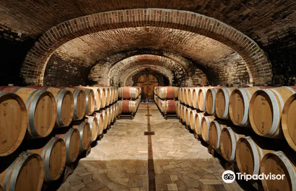 卡斯德爾諾沃貝拉登卡