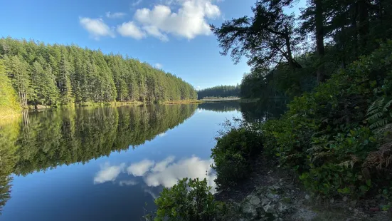 Cranberry Lake