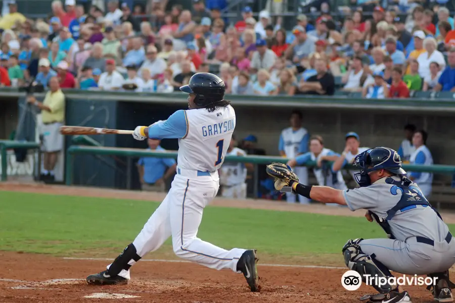 Myrtle Beach Pelicans