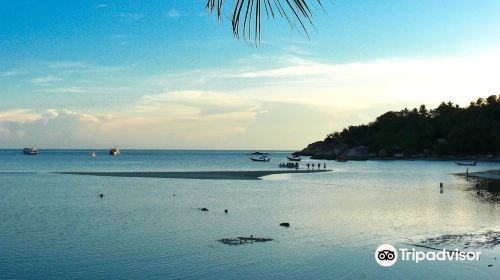 Alvaro Diving Courses Koh Tao