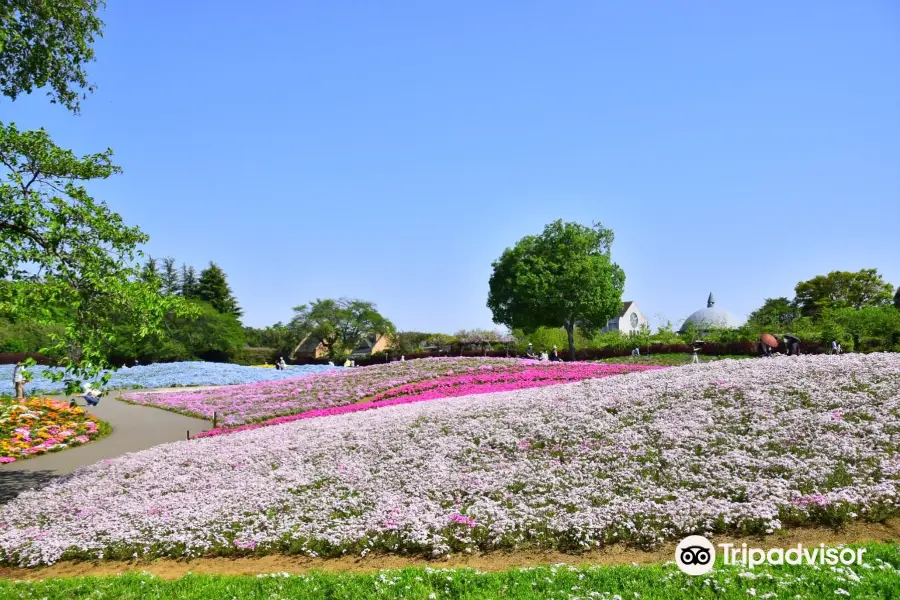 Tobu Treasure Garden