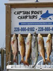 Captain Ron's Charters