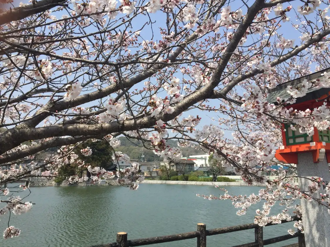 Hotels near Oike