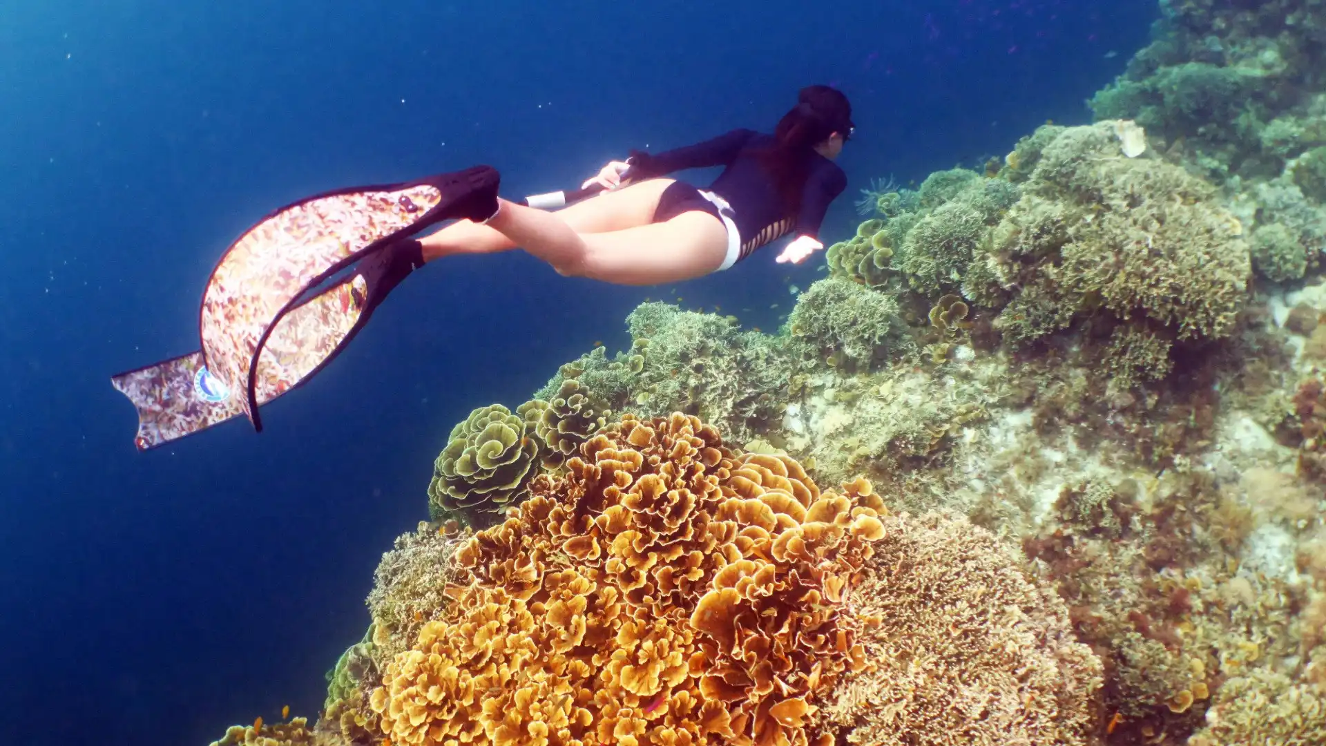 Hotels near Freediving Planet Moalboal