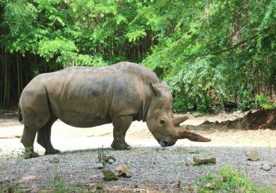 エレン・トラウト動物園