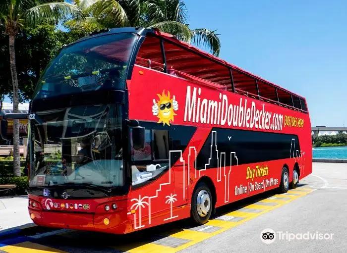 Miami Double Decker