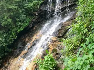 E.B. Jeffress Park-The Cascades Trail