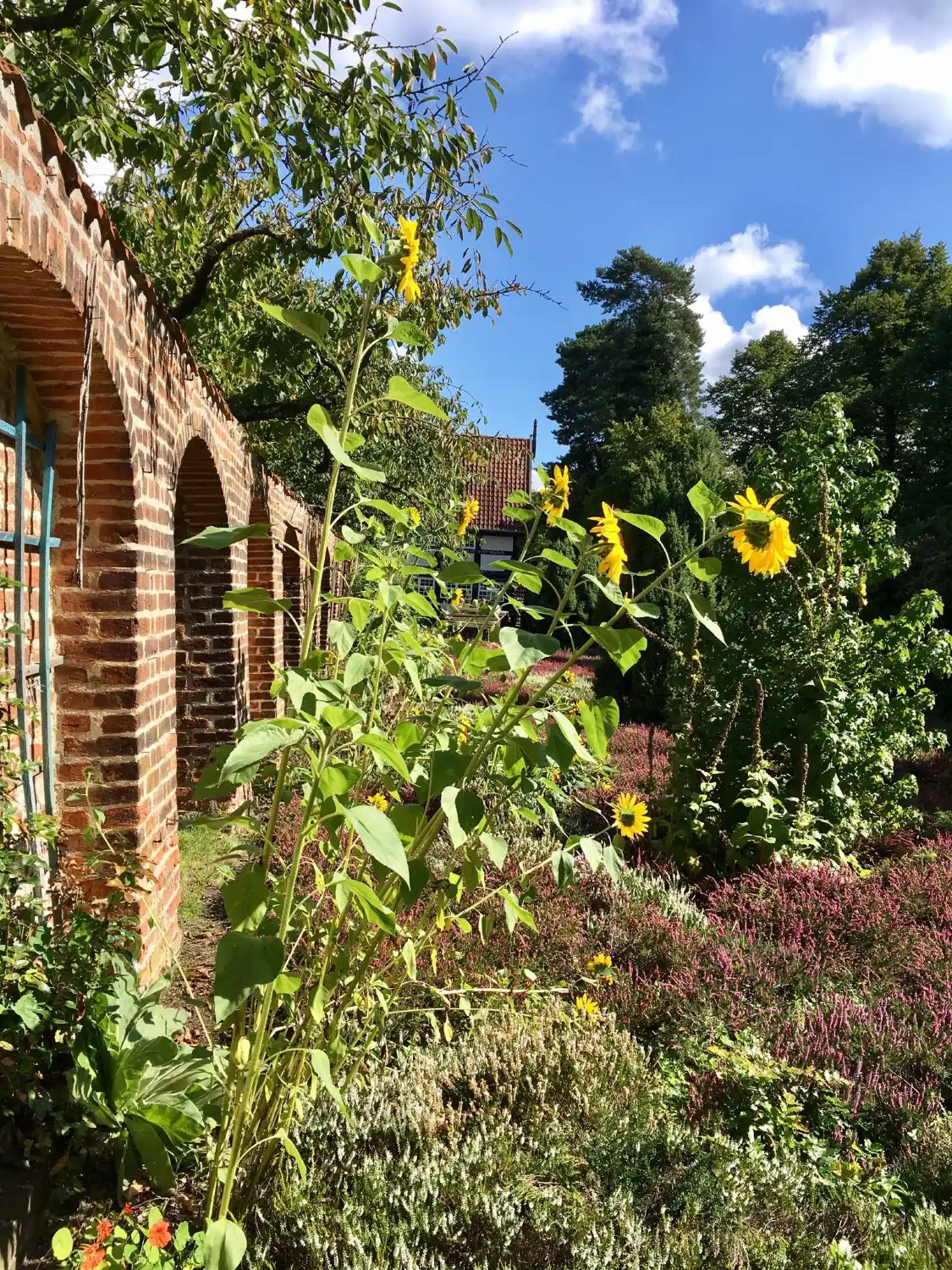 Hotels near Institut fuer Bienenkunde (Laves)