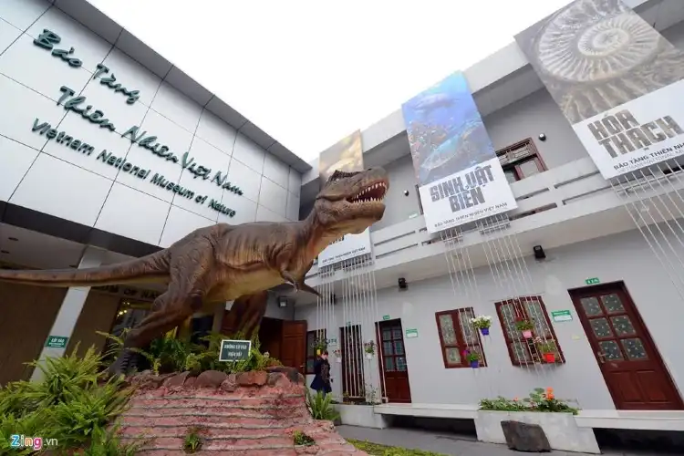 Hotel dekat Vietnam National Museum of Nature