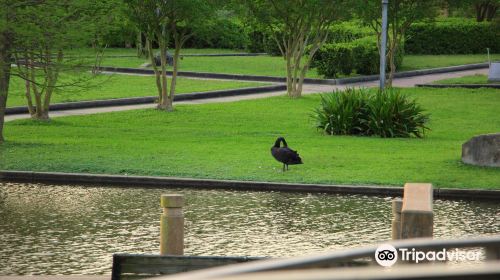 Lafreniere Park