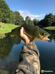 Green Frog Fly Fishing