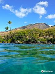 Olowalu Beach