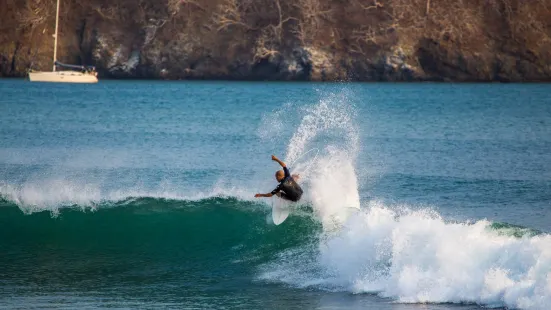 Surf Dojo Shack