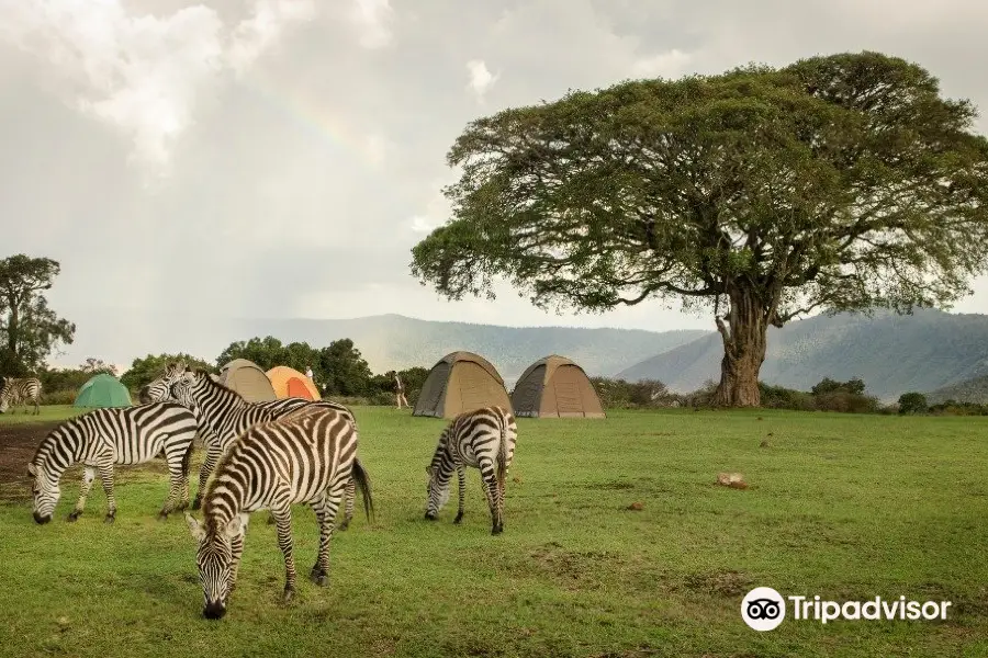 Kibuyu African Safaris