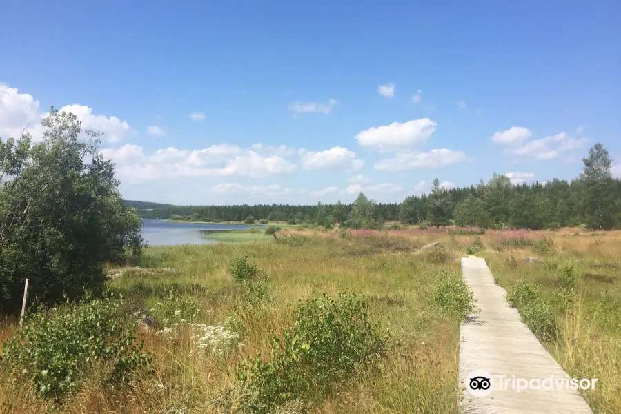 Lac De Charpal