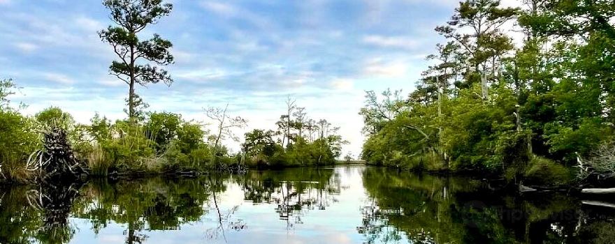 Outer Banks Kayak Adventures