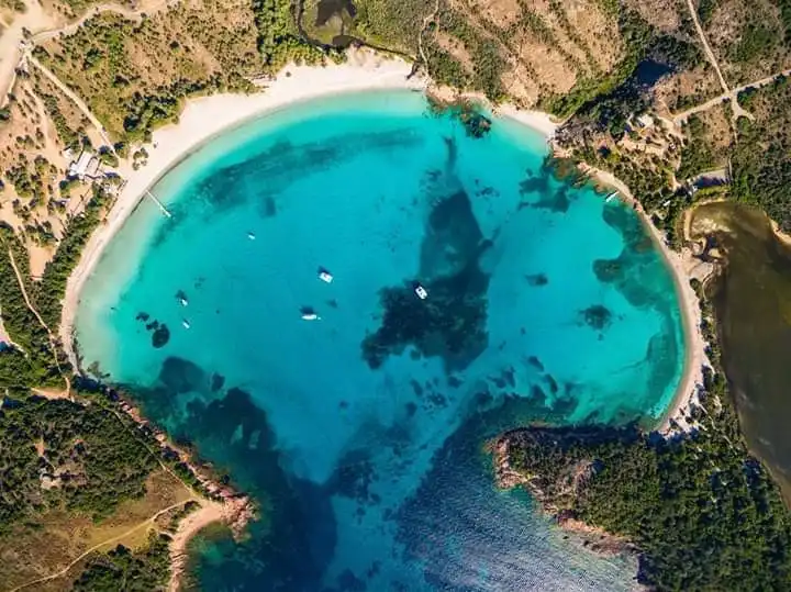 Bonifacio