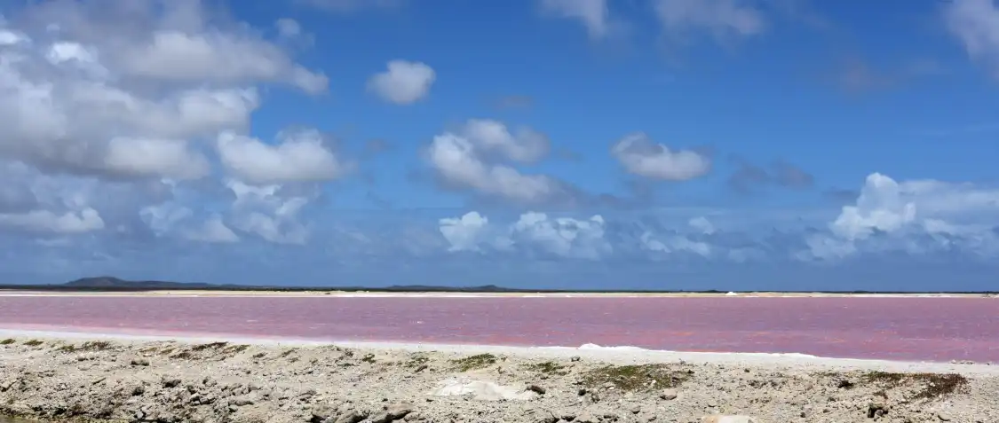 Hotels near Pekelmeer Flamingo Sanctuary