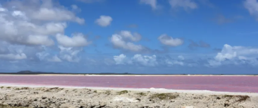 Pekelmeer, Flamingo Sanctuary