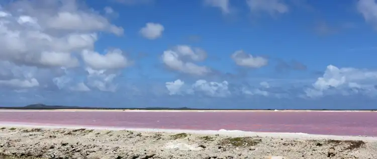 Hotels near Pekelmeer Flamingo Sanctuary