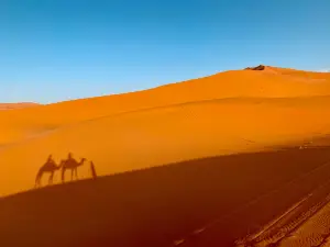 Dune Merzouga Camp