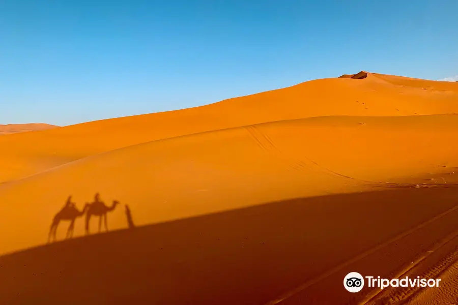 Dune Merzouga Camp