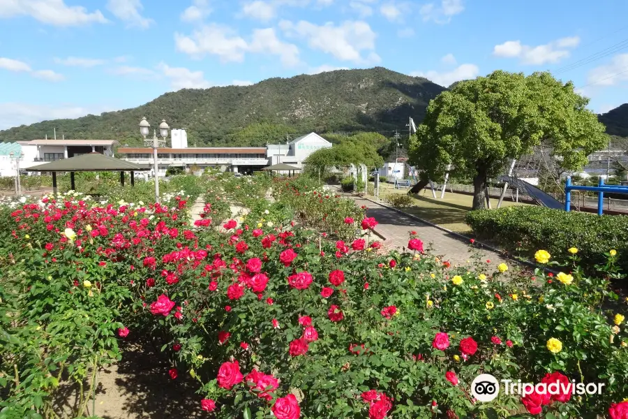 Yoshiumi Rose Park