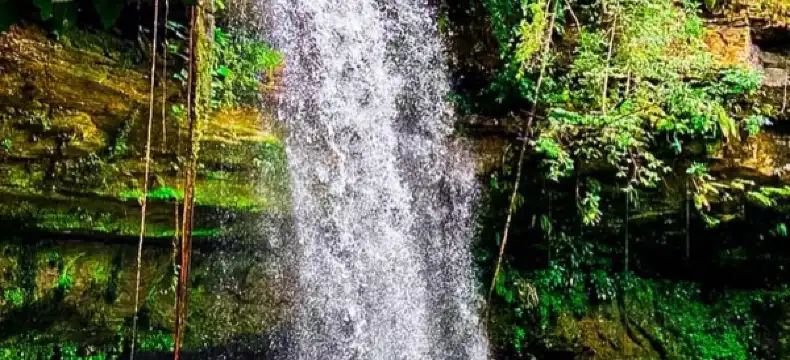 Hotels near Cesamar Park