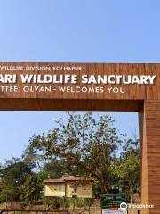Dajipur Wildlife Sanctuary