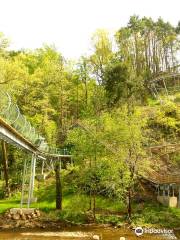 Smoky Mountain Alpine Coaster