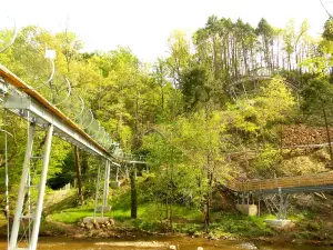 Smoky Mountain Alpine Coaster